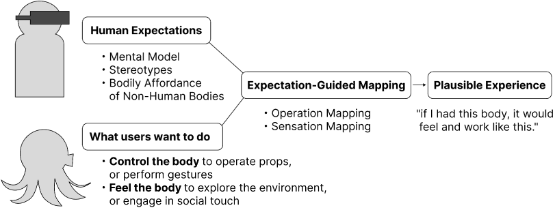 Plausible Embodiment Framework