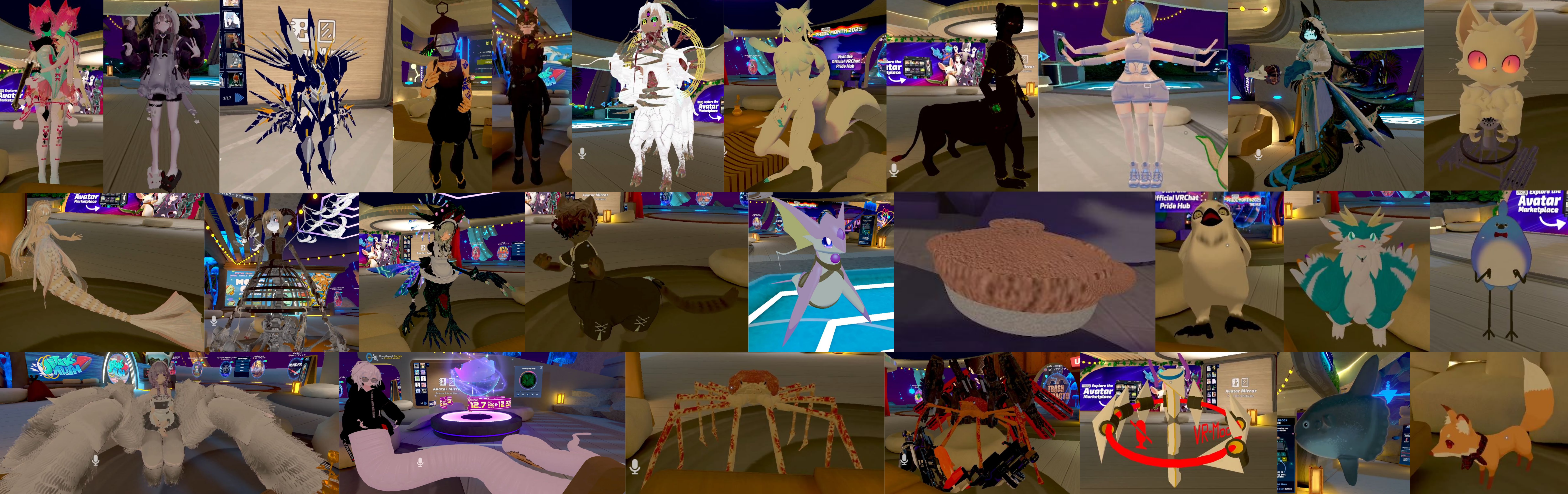 Non-human avatars in Social VR