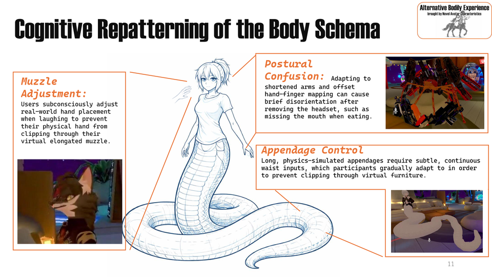Slide 11